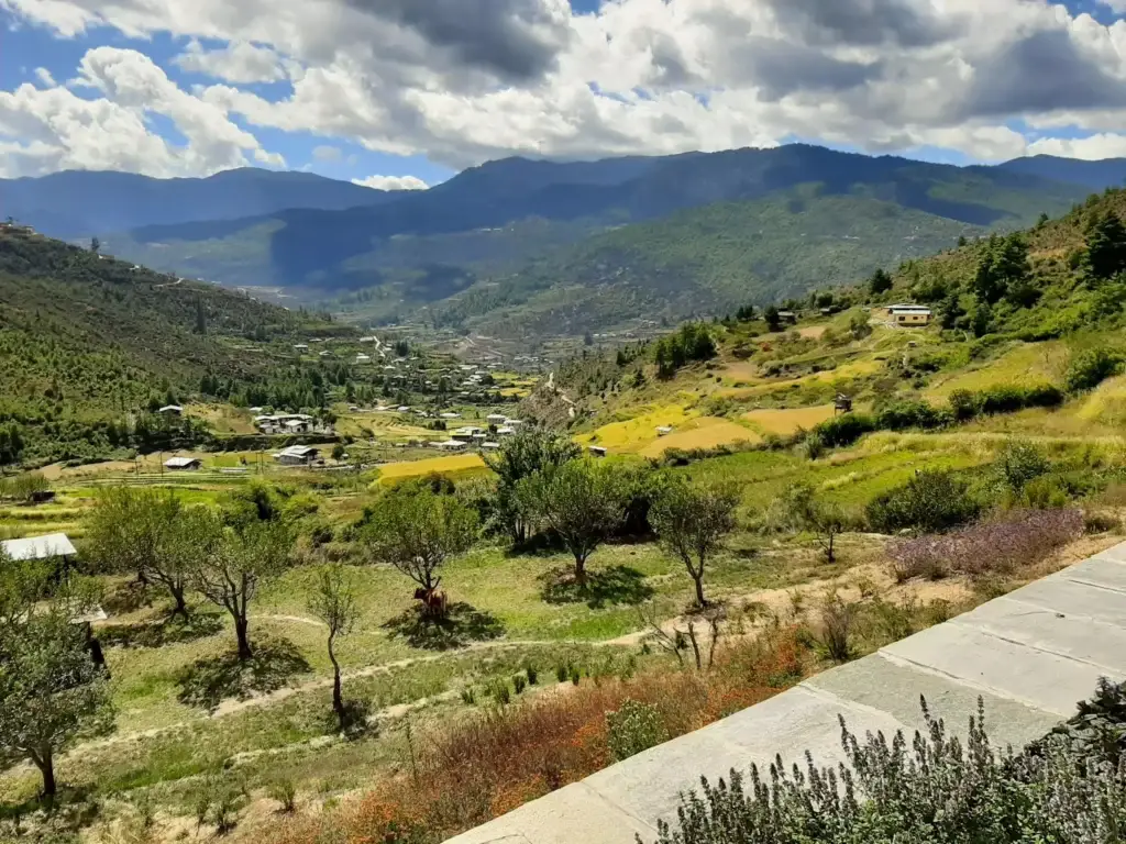 a landscape with trees and mountains