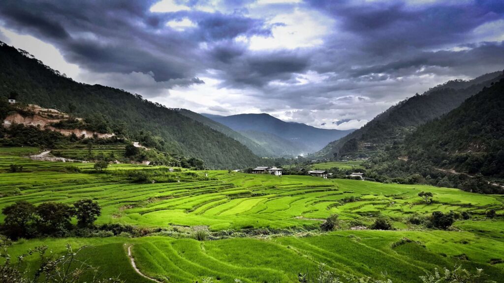 a green field with mountains in the background
