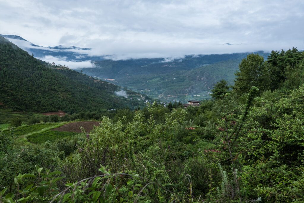 a landscape of a valley with trees and mountains