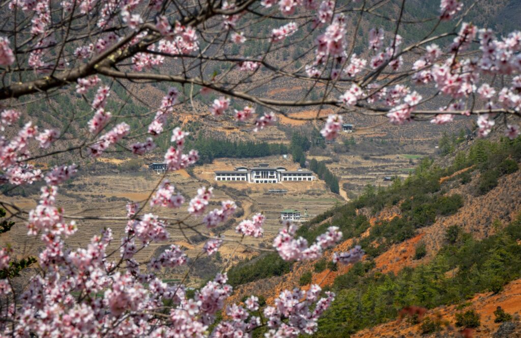 a building in the middle of a valley with pink flowers