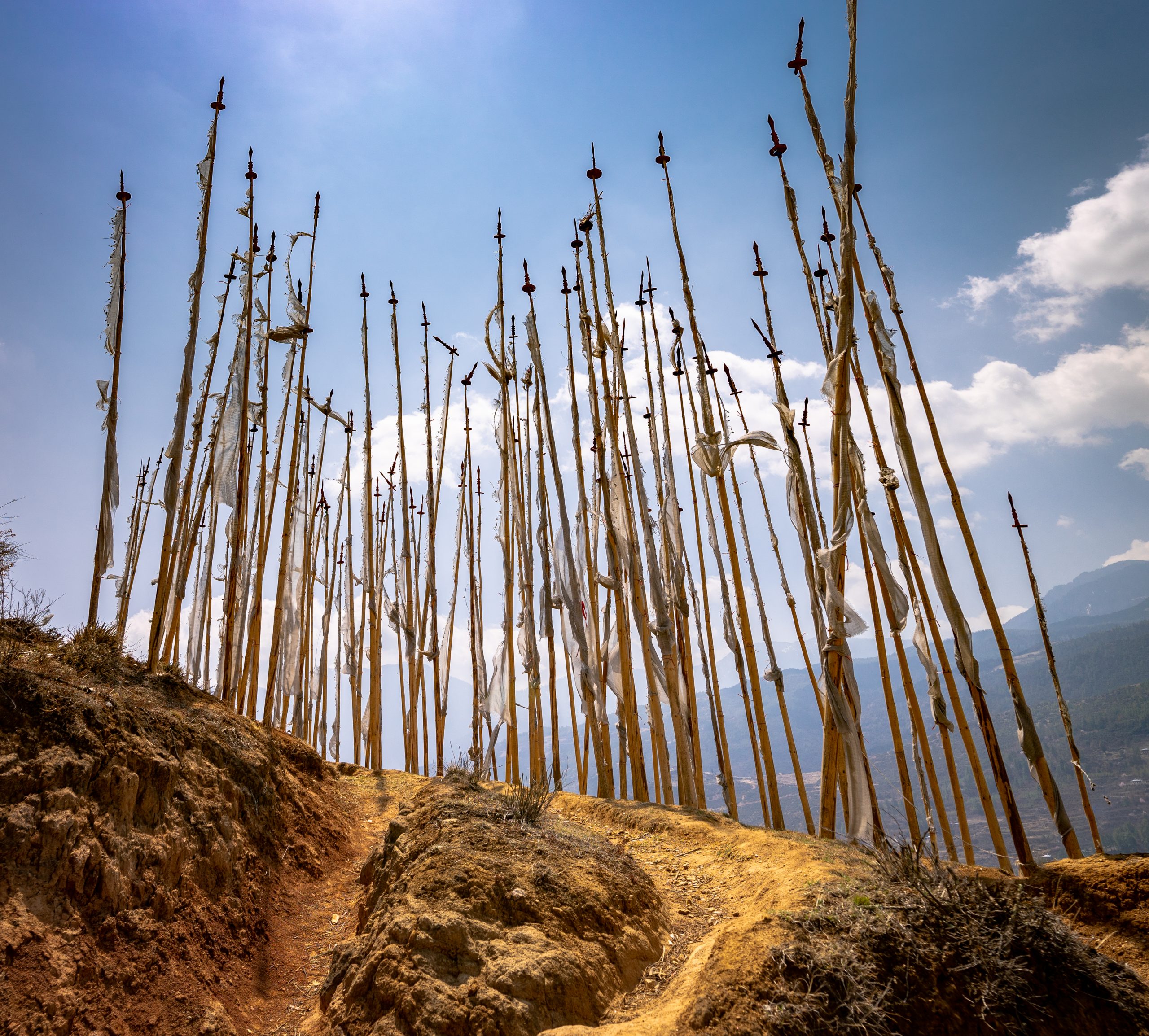a group of poles with flags on a hill