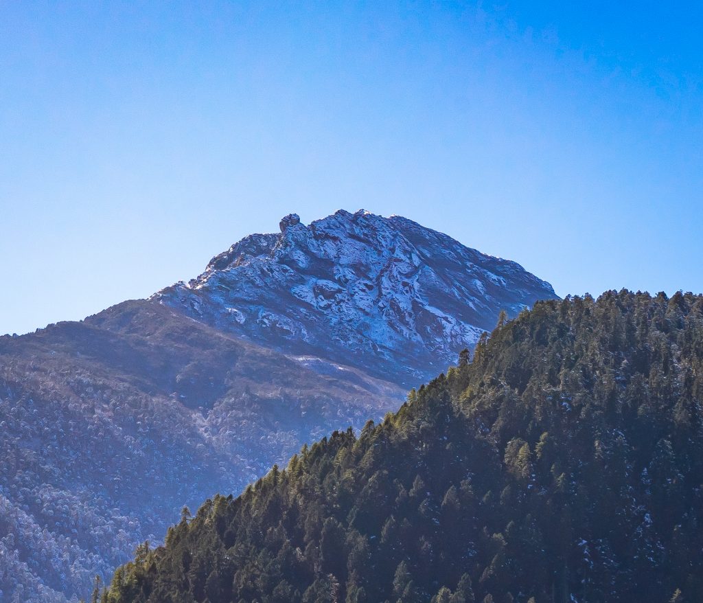 Mountain covered in forest with a blue sky in the background